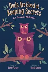 Book cover of Owls are Good at Keeping Secrets by Sara O'Leary