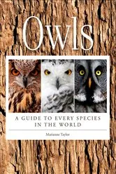 Book cover of Owls by Marianne Taylor