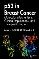 Book cover of p53 in Breast Cancer by Manzoor Ahmad Mir