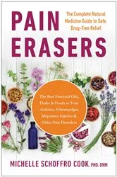 Book cover of Pain Erasers by Michelle Schoffro Cook