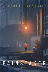 Book cover of Painstaker by Jeffrey Galbraith