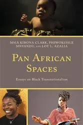 Book cover of Pan African Spaces by Msia Kibona Clark