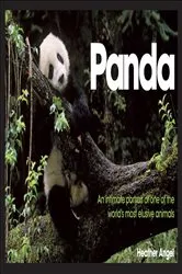 Book cover of Panda by Unknown