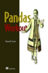 Book cover of Pandas Workout by Reuven Lerner