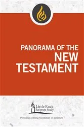 Book cover of Panorama of the New Testament by Stephen J. Binz