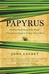 Book cover of Papyrus by Irene Vallejo