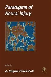 Book cover of Paradigms of Neural Injury by J. Regino Perez-Polo