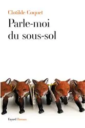 Book cover of Parle-moi du sous-sol by Clotilde Coquet
