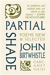 Book cover of Partial Shade by John Birtwhistle