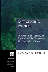 Book cover of Participating Witness by Anthony G. Siegrist