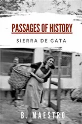Book cover of Passages of History by Beatriz Maestro