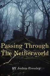 Book cover of Passing Through The Netherworld by Joshua Pressley