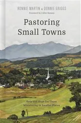 Book cover of Pastoring Small Towns by Ronnie Martin