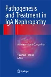 Book cover of Pathogenesis and Treatment in IgA Nephropathy by Yasuhiko Tomino