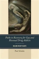 Book cover of Paths to Recovery for Gay and Bisexual Drug Addicts by Paul Schulte