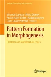 Book cover of Pattern Formation in Morphogenesis by Vincenzo Capasso