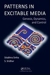 Book cover of Patterns in Excitable Media by Sitabhra Sinha