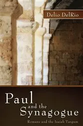 Book cover of Paul and the Synagogue by Delio DelRio