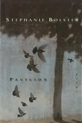 Book cover of Pavilion by Stephanie Bolster