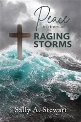 Book cover of Peace in Times of Raging Storms by Sally A. Stewart
