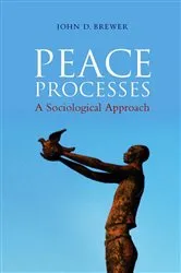 Book cover of Peace Processes by John D. Brewer