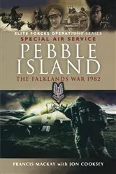 Book cover of Pebble Island by Francis McKay