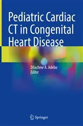Book cover of Pediatric Cardiac CT in Congenital Heart Disease by Dilachew A. Adebo