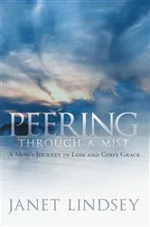 Book cover of Peering Through a Mist by Janet Lindsey