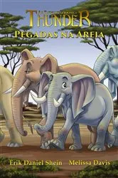Book cover of Pegadas na Areia by Erik Daniel Shein