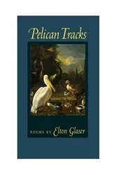 Book cover of Pelican Tracks by Elton Glaser
