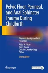 Book cover of Pelvic Floor, Perineal, and Anal Sphincter Trauma During Childbirth (2nd ed.) by Abdul H. Sultan