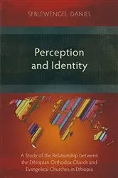 Book cover of Perception and Identity by Seblewengel Daniel