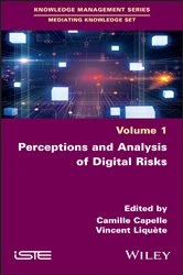 Book cover of Perceptions and Analysis of Digital Risks by Camille Capelle