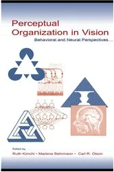 Book cover of Perceptual Organization in Vision by Ruth Kimchi