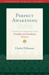 Book cover of Perfect Awakening by Charles DiSimone