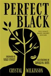 Book cover of Perfect Black by Crystal Wilkinson