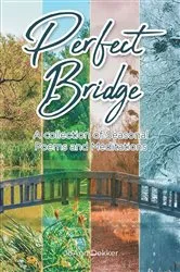 Book cover of PERFECT BRIDGE by JoAnn Dekker