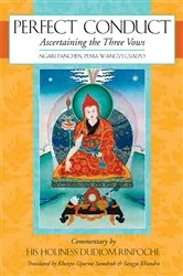 Book cover of Perfect Conduct by Pema Wangyi Gyalpo