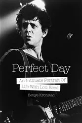 Book cover of Perfect Day by Bettye Kronstad