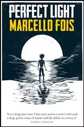 Book cover of Perfect Light by Marcello Fois