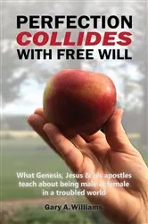Book cover of Perfection Collides With Free Will by Gary A Williams