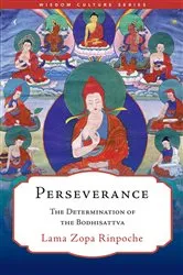 Book cover of Perseverance by Patrick Dearen