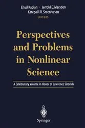 Book cover of Perspectives and Problems in Nonlinear Science by Ehud Kaplan