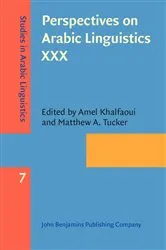 Book cover of Perspectives on Arabic Linguistics XXX by Amel Khalfaoui