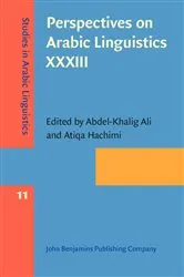 Book cover of Perspectives on Arabic Linguistics XXXIII by Unknown