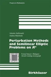 Book cover of Perturbation Methods and Semilinear Elliptic Problems on R^n by Unknown