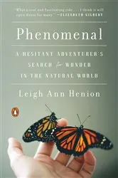 Book cover of Phenomenal by Leigh Ann Henion