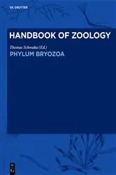 Book cover of Phylum Bryozoa by Thomas Schwaha