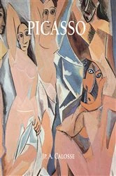 Book cover of Picasso by Jp. A. Calosse