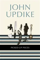 Book cover of Picked Up Pieces by Amy L. Sauder